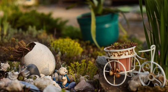 ​National Miniature Garden Month