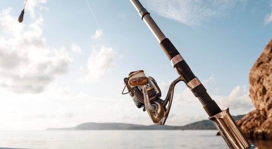 International Day For The Fight Against Illegal Unreported And Unregulated Fishing