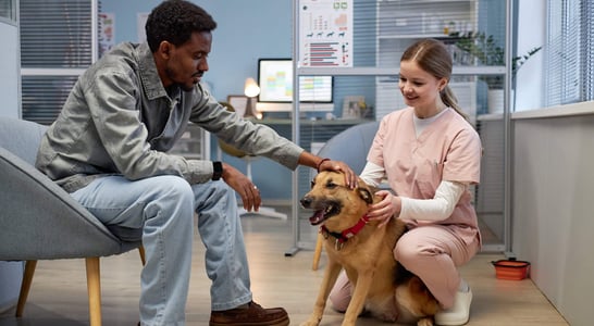 National Therapy Animal Day