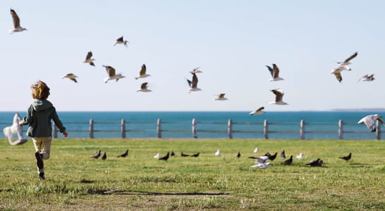 Urban National Wildlife Refuge Day